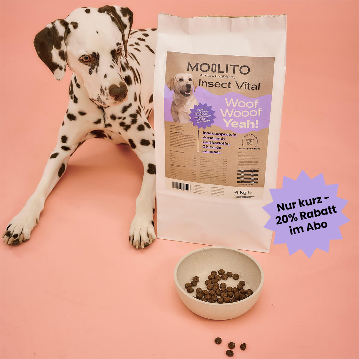 sanoro hundefutter Sanoro- Pures Muskelfleisch vom Lamm und Schaf – froehlicher-hund-shop main image 0