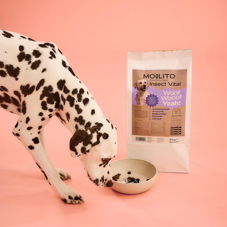 MOOLITO Insect Vital