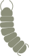 moolitor